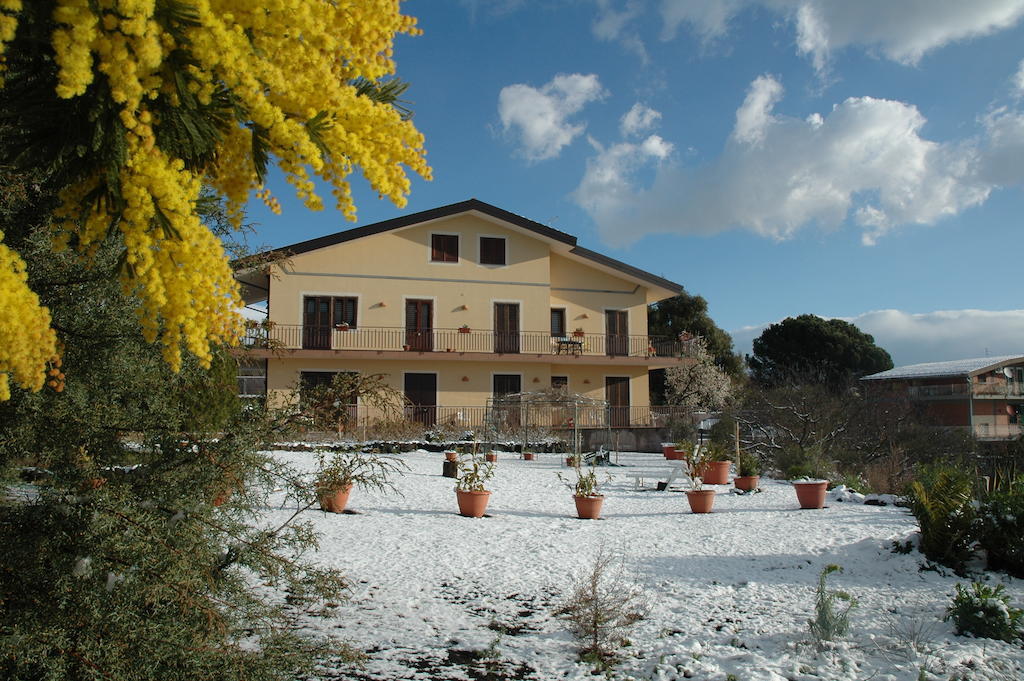 Etna Torre Del Grifo Bed and Breakfast Mascalucia Esterno foto